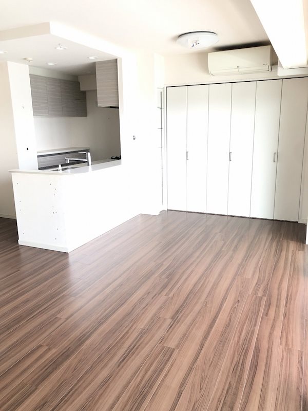 プレシス本厚木レジデンス リビング