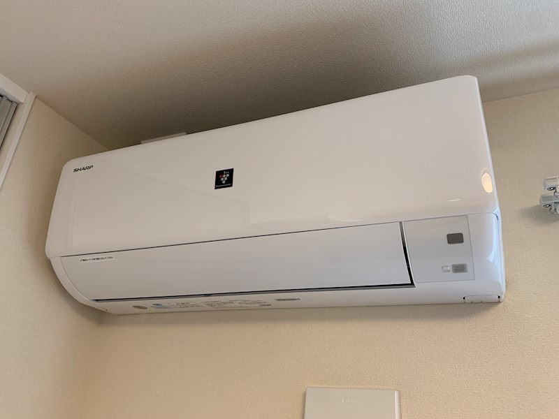 Ｆｅｌｉｃｅ　Ｓｈｏｎａｎ(フェリスショウナン) その他1