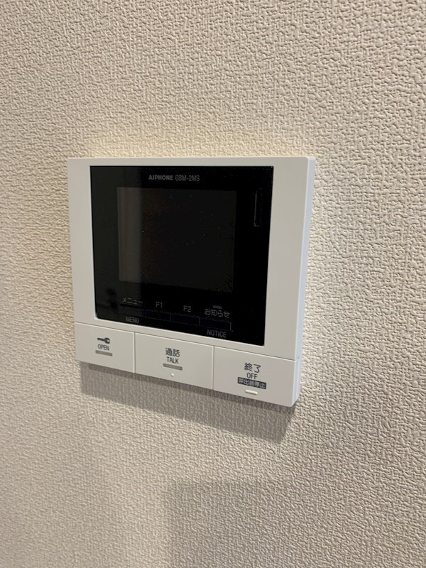 Ｆｅｌｉｃｅ　Ｓｈｏｎａｎ(フェリスショウナン) その他2