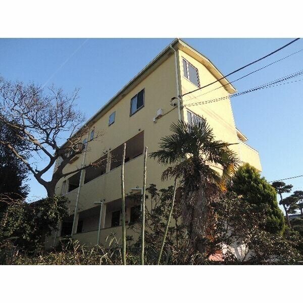 ＰａｌｍＣｏｖｅ湘南 その他外観5