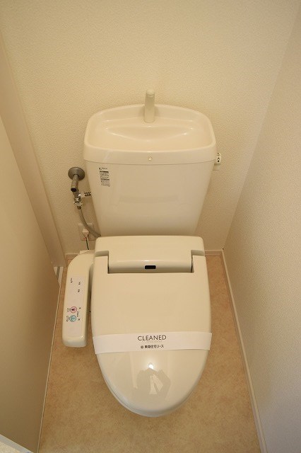 チャインコット湘南   その他5