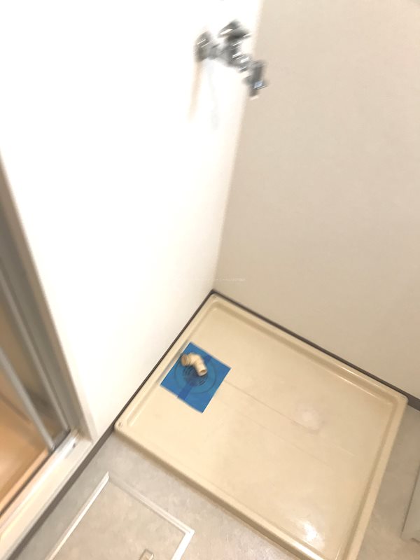 りぶいんしらゆり虹  その他4