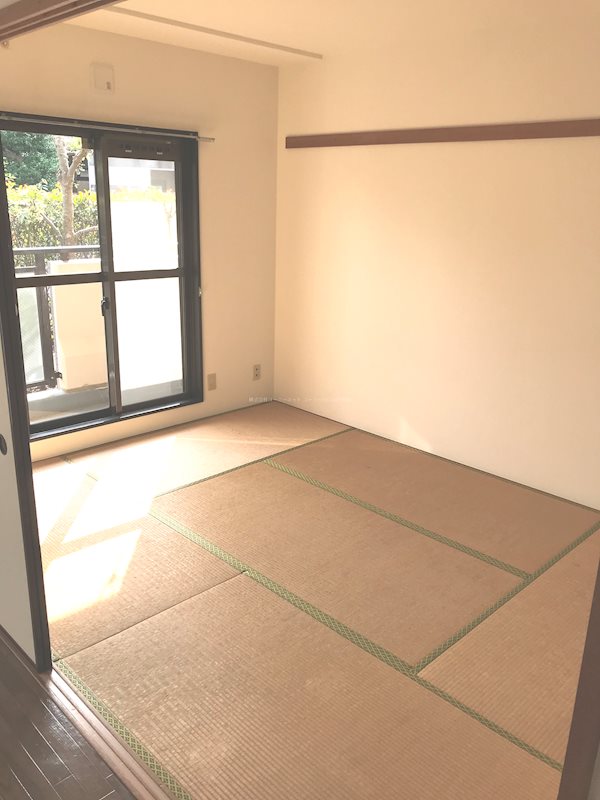 りぶいんしらゆり虹  その他10