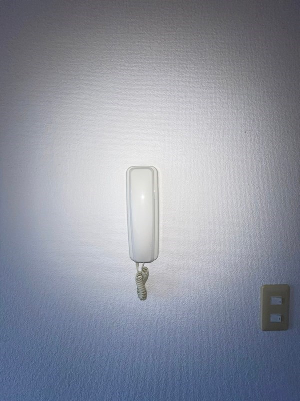 ハイネスN その他3