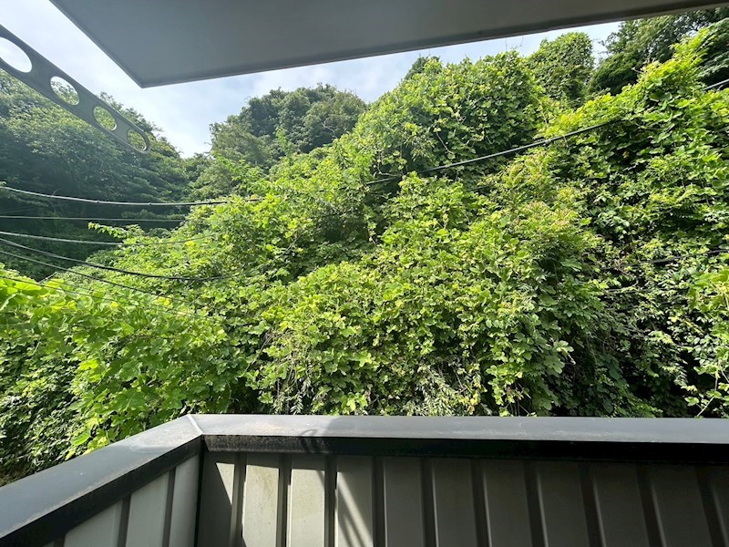 CASA Sasuke その他6