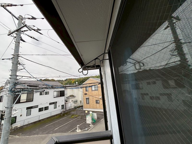 パームフィルズⅠ その他2