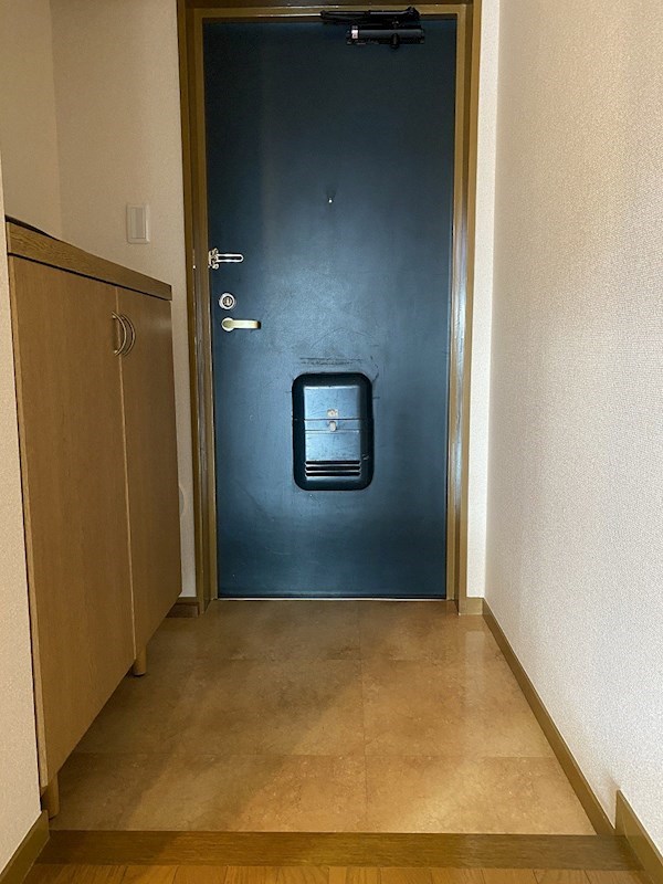 タウンコート湘南 玄関