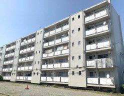 ビレッジハウス戸川1号棟 205号室 外観