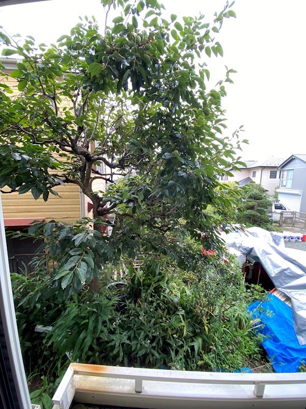 スカイハイツ その他5