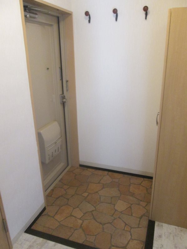 メープル湘南台  玄関