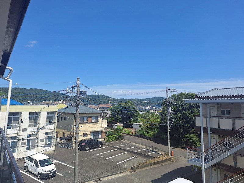 コスモス№2 その他5