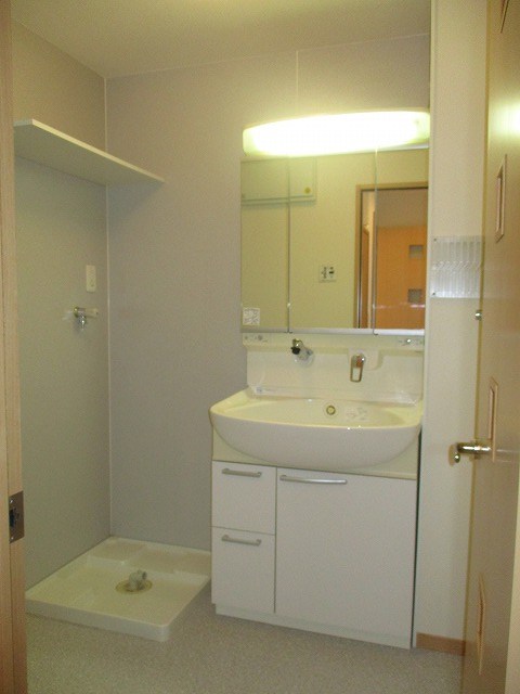 スワロウテイルＡ その他2