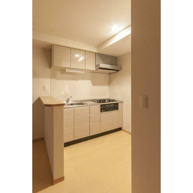 ヴィオレット湘南 キッチン