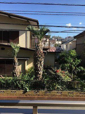 GLOIRE MANSION その他4