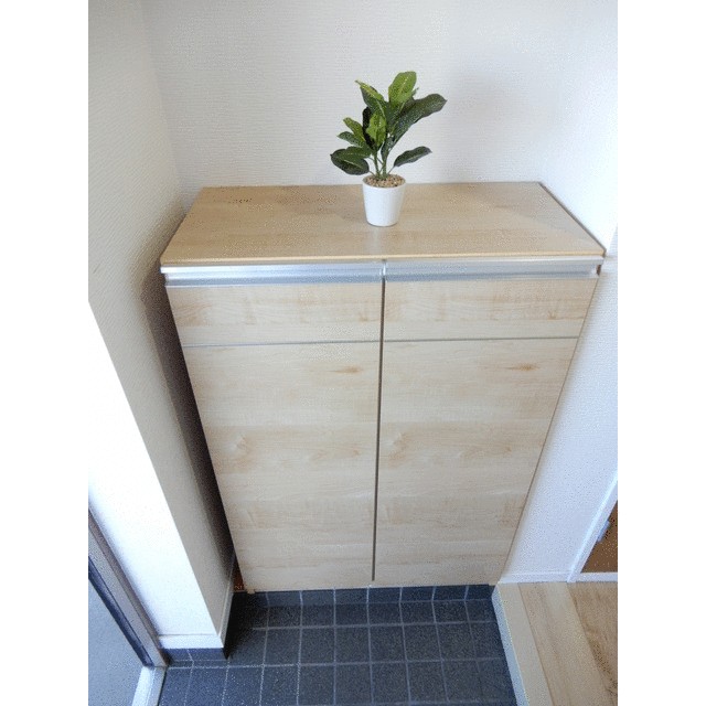 ドエル厚木 玄関