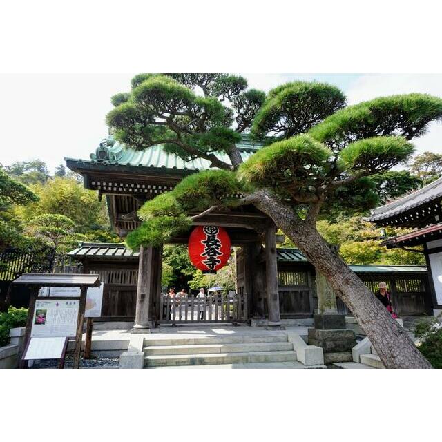 ハイツ大仏坂 周辺画像8