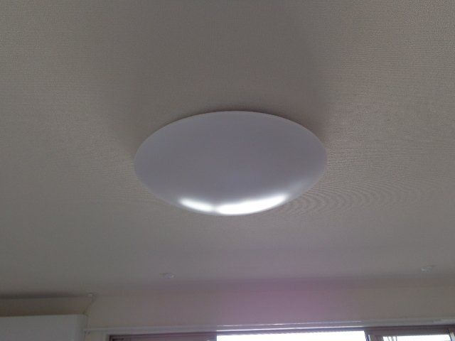 しろくま その他12