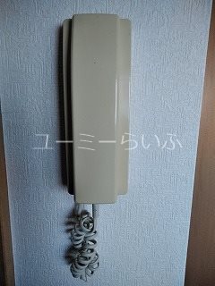 ビラタロス その他1
