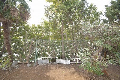 松本アパート その他5