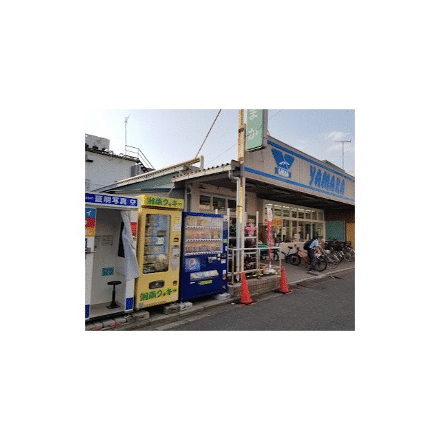 やまか本鵠沼店 クレールメゾン本鵠沼 周辺画像8