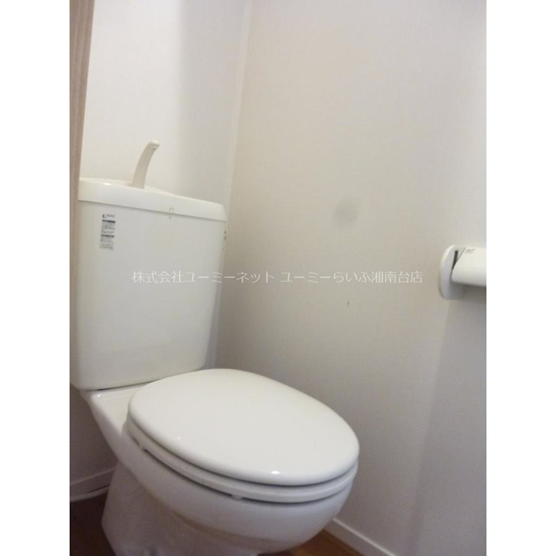 ヴィルドミール その他2