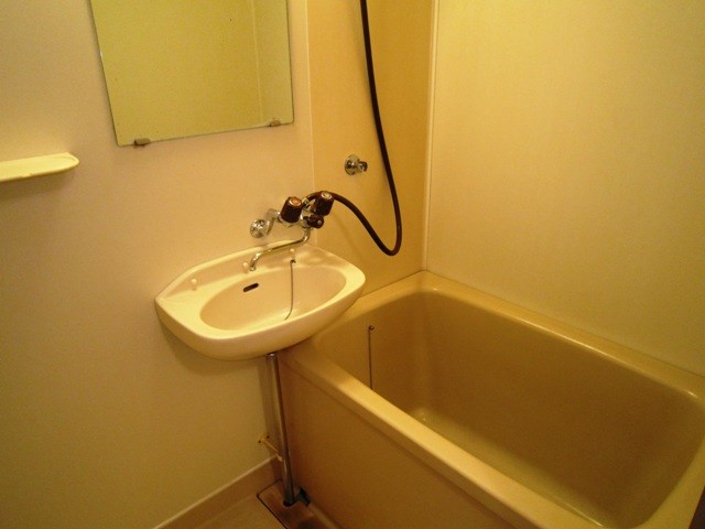 早乙女ハイム 風呂画像