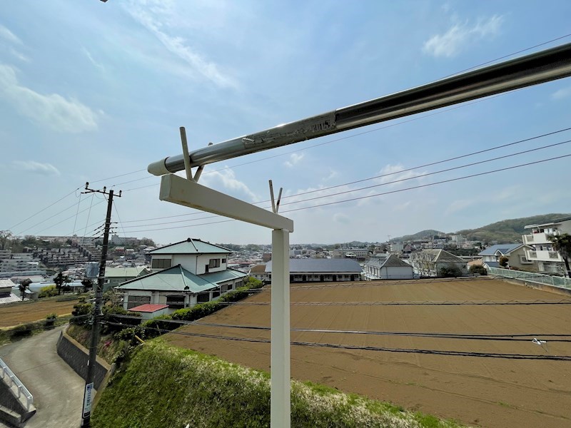 グレーハウス その他5