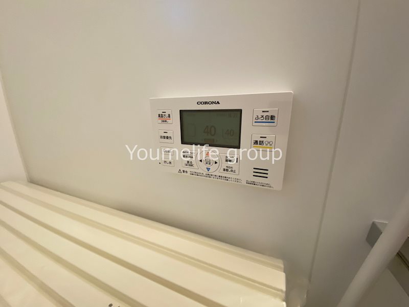 ルーモスタカラB その他2