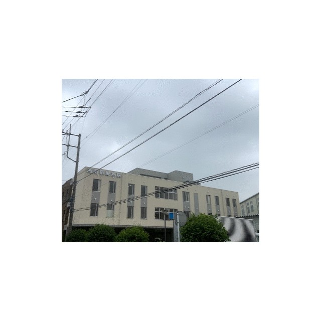 サウスヴァーデス 周辺画像6