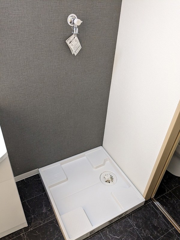 ルピナス その他4