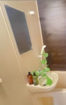 コーポシャルマン その他6