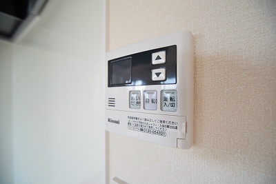 ヒルマイナ その他