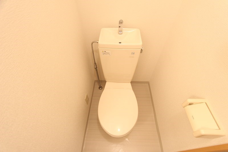 ライラック   その他1