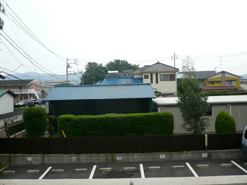 ライラック   その他5