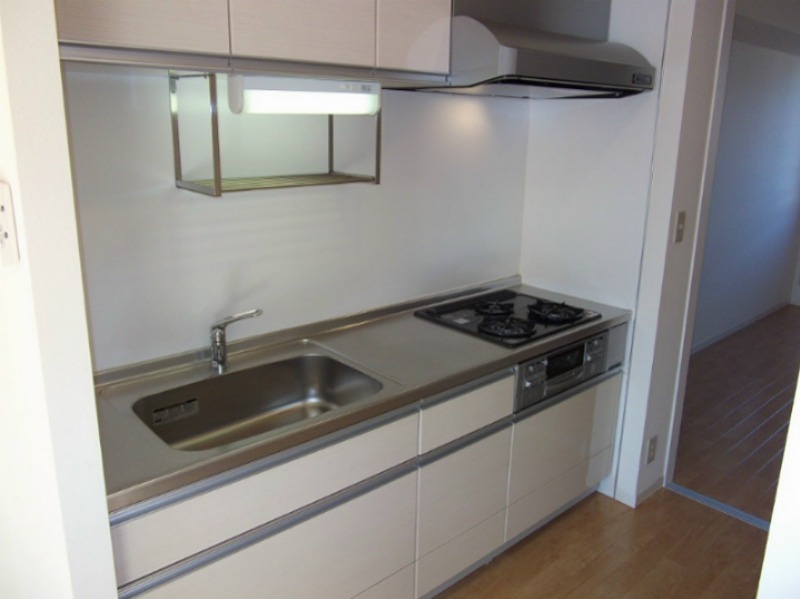 グリーンヴィラ その他6