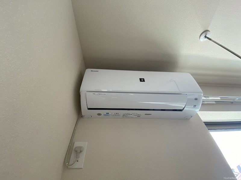 Moana（モアナ） その他4