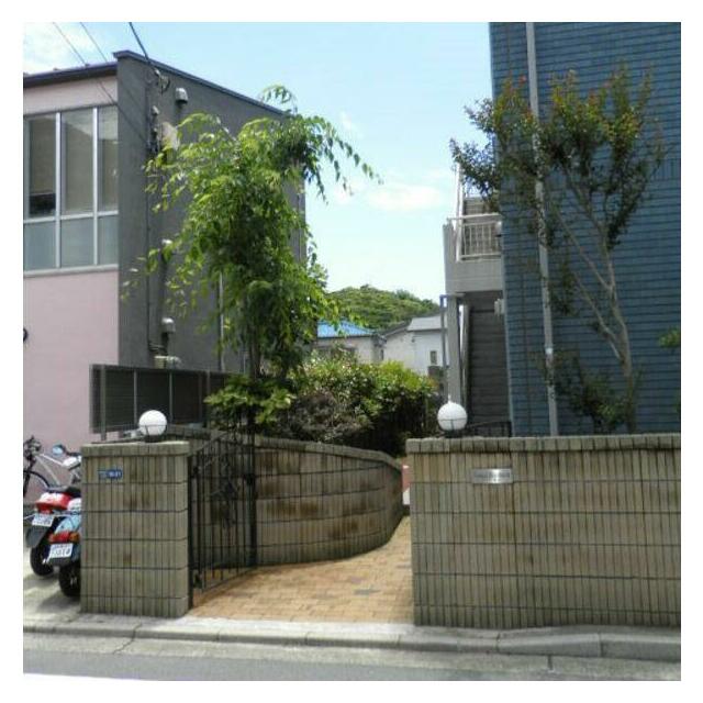 Ｌａｎａｉ　Ｉｎａｍｕｒａ その他2