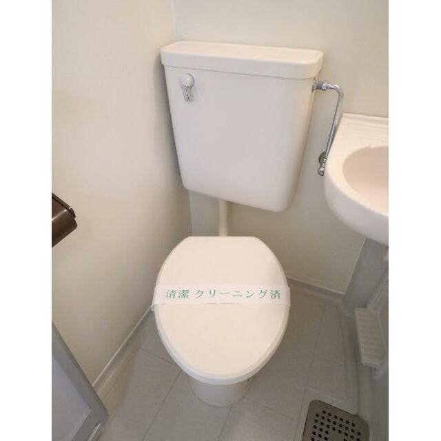Ａｐａ花の木 その他3
