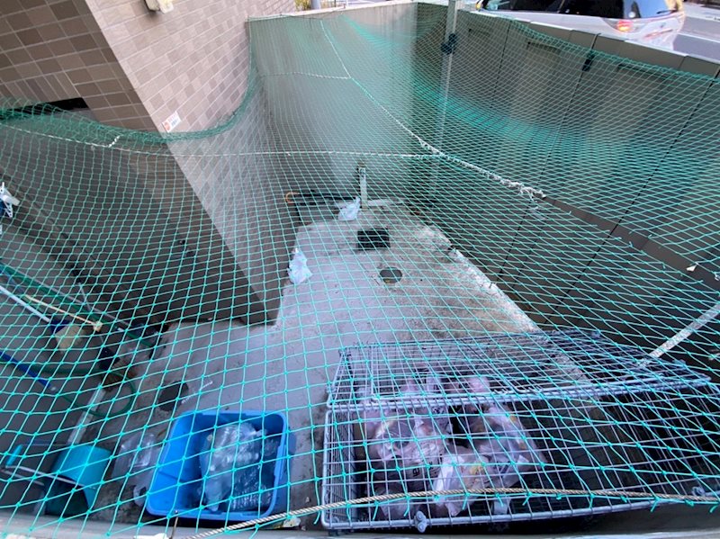 プラージュ湘南 その他外観2