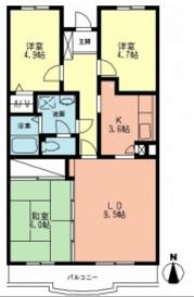 Sazan　Piloti・つまだ 306号室 間取り