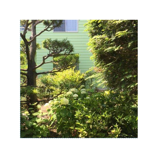 ＷＩＮ－ＷＩＮ　ＨＯＵＳＥ その他外観4