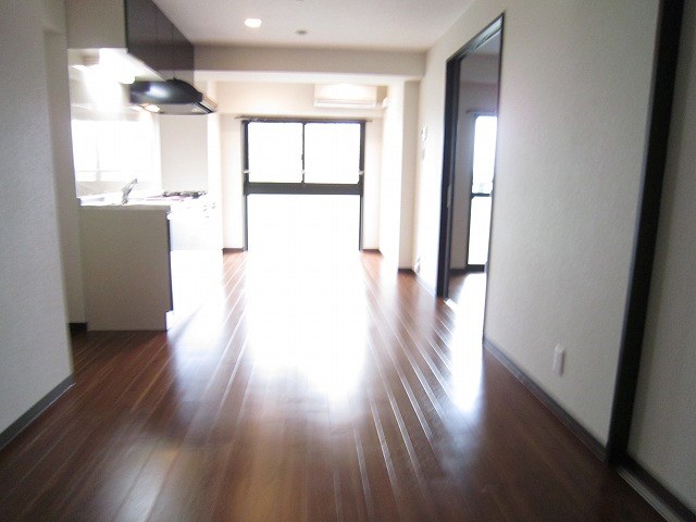 グラビス その他5