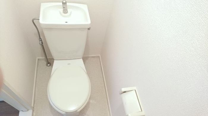 グリーンハイツⅡ その他1