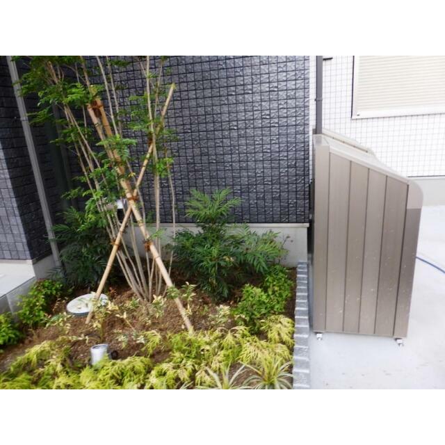 Ｖｉｏｌａ．Ｋ その他6