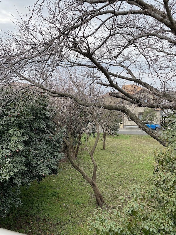 South Ocean その他6