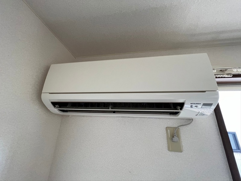 プレミール・オオスミ その他1