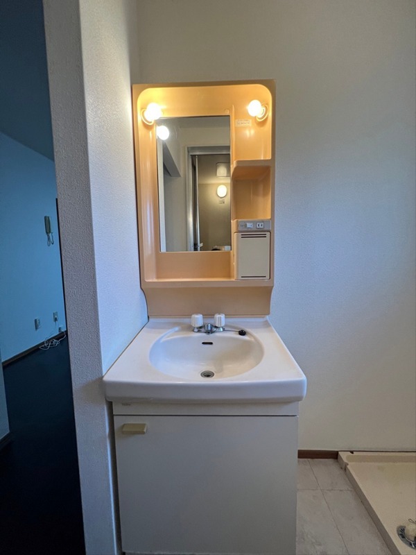 プレミール・オオスミ その他4