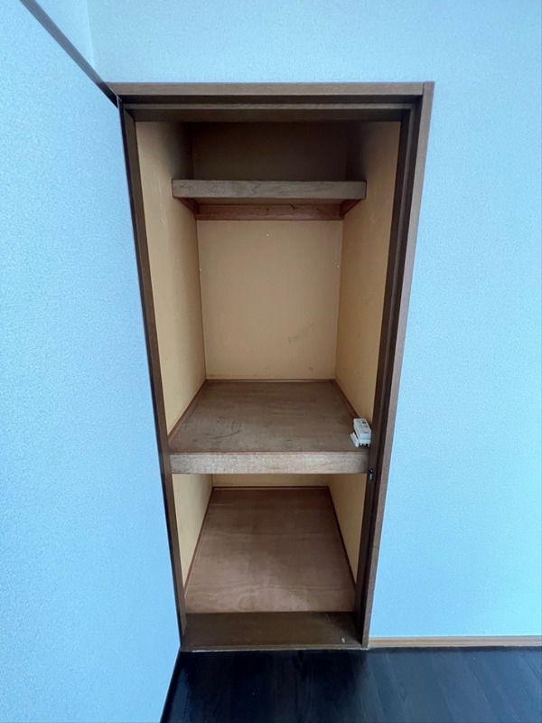 プレミール・オオスミ その他7