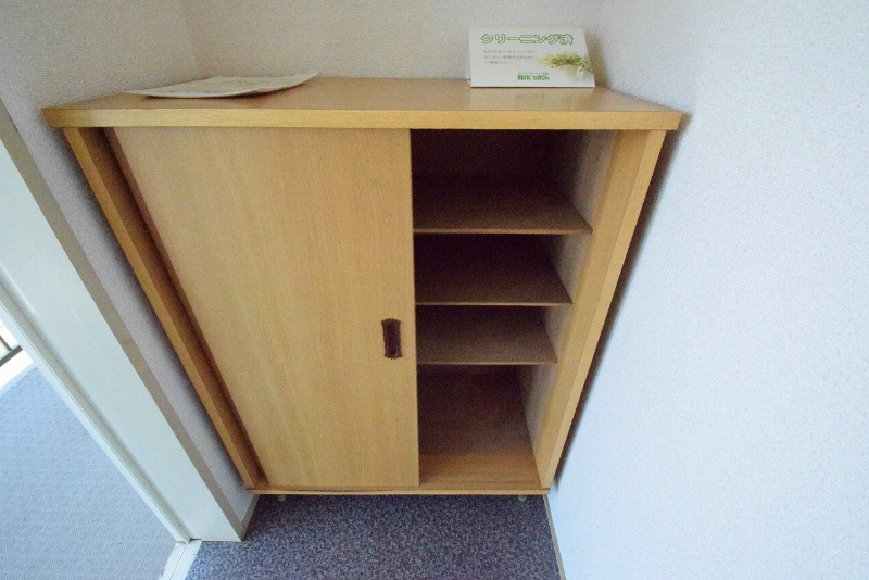 グリーンライフ奥津 玄関