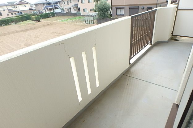 ヴェルテックス湘南の写真9